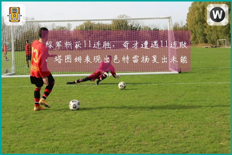 绿军斩获11连胜，奇才遭遇11连败，塔图姆表现出色特雷杨复出未能改写局面