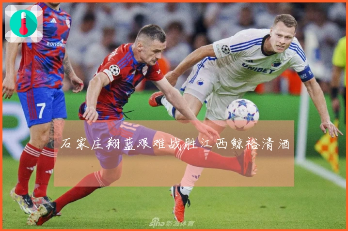 石家庄翔蓝艰难战胜江西鲸裕清酒
